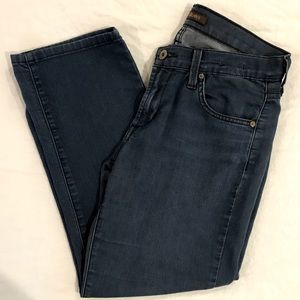 James Jeans Crop Billie in Ash